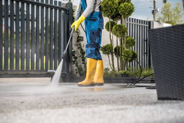 Best Affordable Pressure Washing  in Auburn, WA